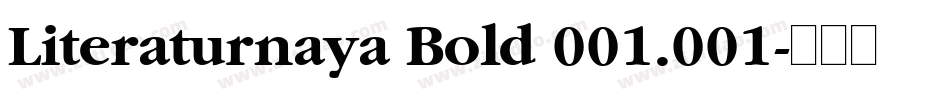 Literaturnaya Bold 001.001字体转换